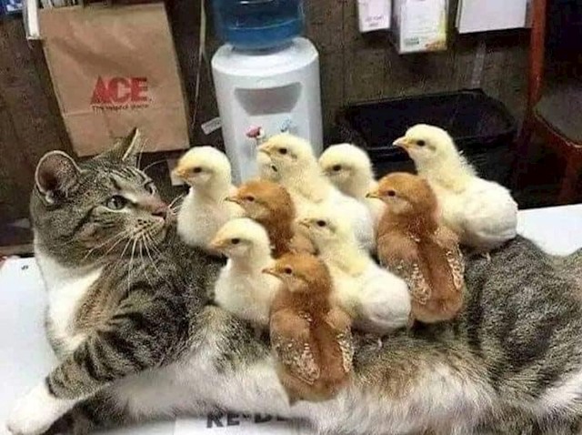 8.