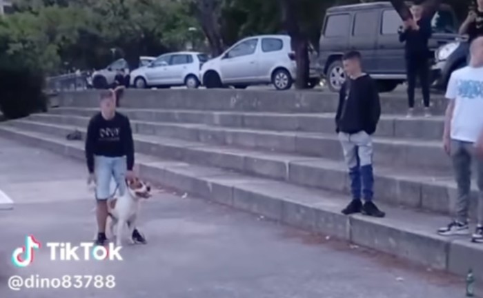 Mladić iz Srbije dresirao je psa da radi nešto nezamislivo, ovo jednostavno morate vidjeti