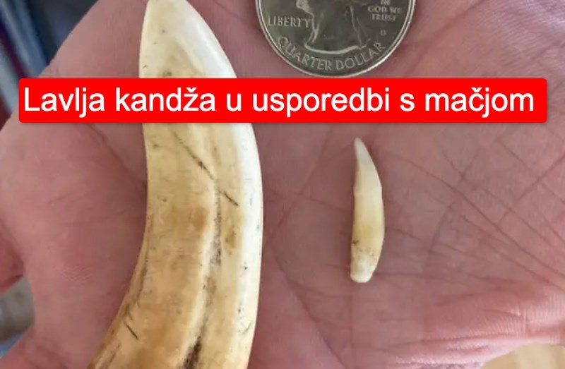 14 stvari koje su mnogo, mnogo veće od onog kako ih zamišljate