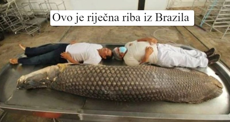 15 apsolutno gigantskih stvari za koje je teško povjerovati da postoje