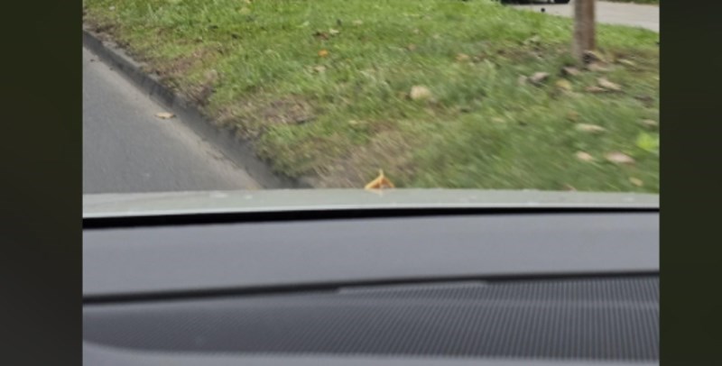 Gužve u Zagrebu postale su nenormalne, o tome najbolje svjedoči slika koja se širi Redditom