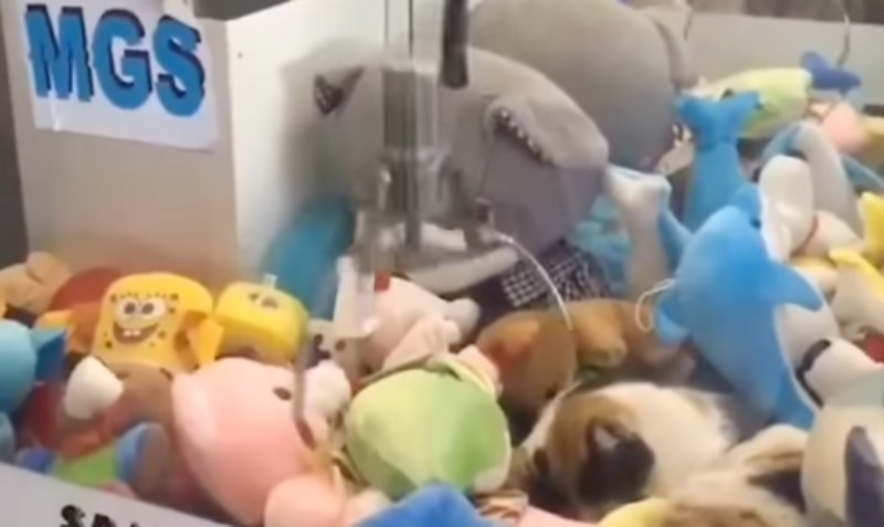 Dječak je pokušao uhvatiti plišanca na aparatu, kužite li što je zamalo uhvatio?