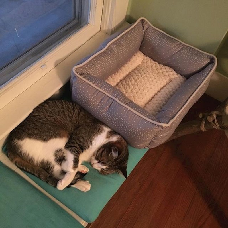 Nije baš shvatila čemu ovo služi