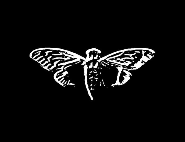 Cicada 3301