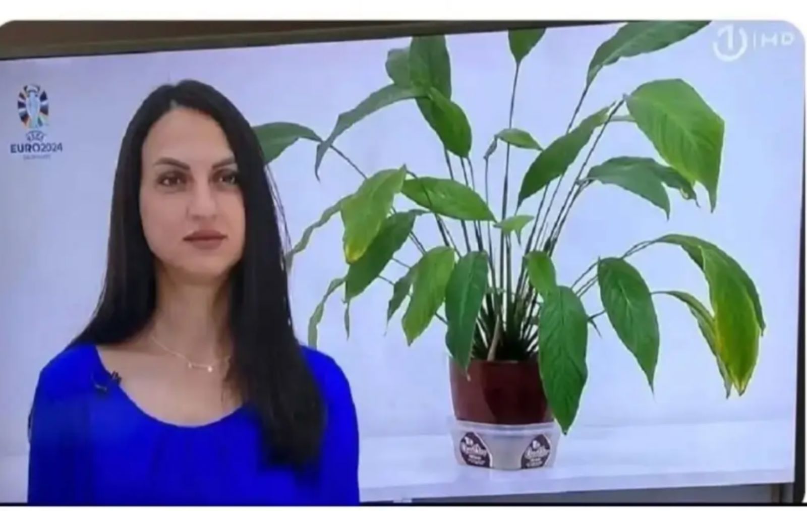 Scena s televizije u BiH obilazi regiju: možete li pogoditi što su svi odmah primijetili?