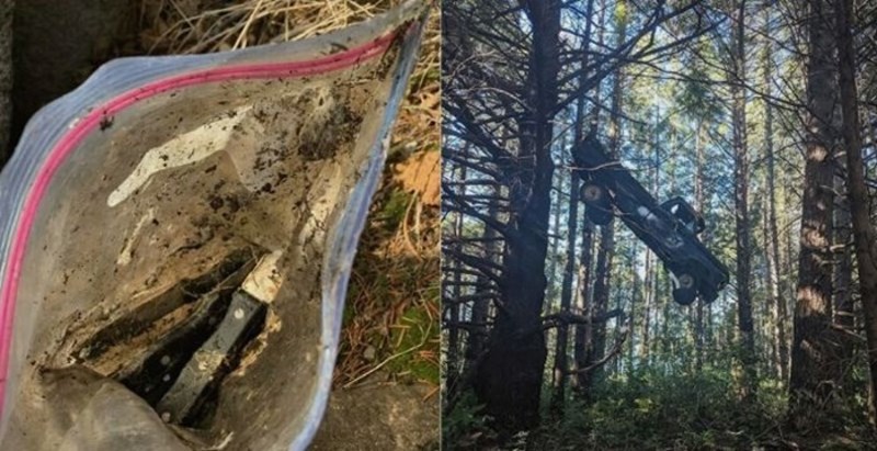 12 ljudi koji su šetali šumom i zatekli potpuno neobjašnjive prizore