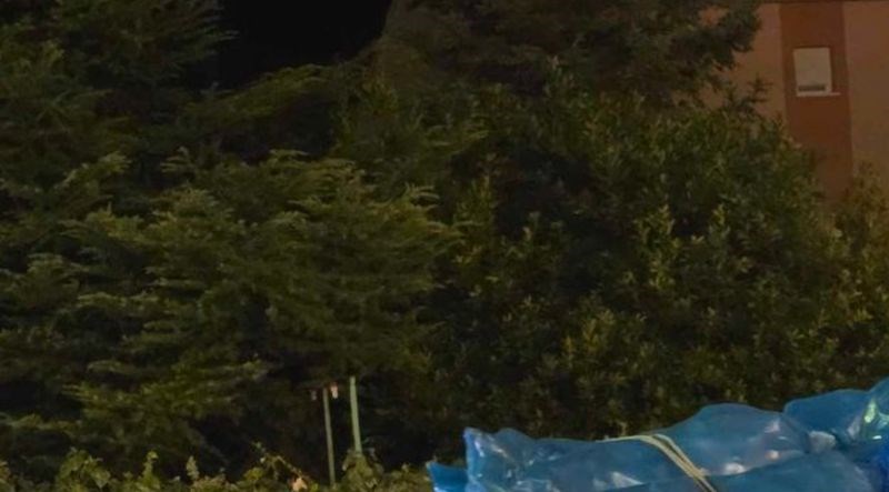 Restorani su prazni, a ovaj čovjek ima rekordnu zaradu na Jadranu. Morate vidjeti hit fotku