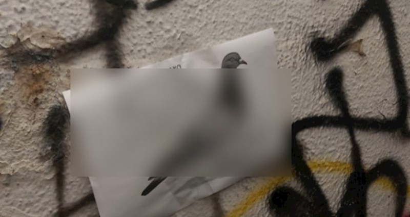 Netko po Varaždinu lijepi ove oglase, nikome nije jasno što se događa