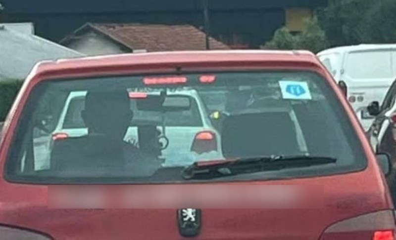 Majstor je jednom rečenicom ušutkao sve vozače oko sebe, sad mu više nitko ne trubi