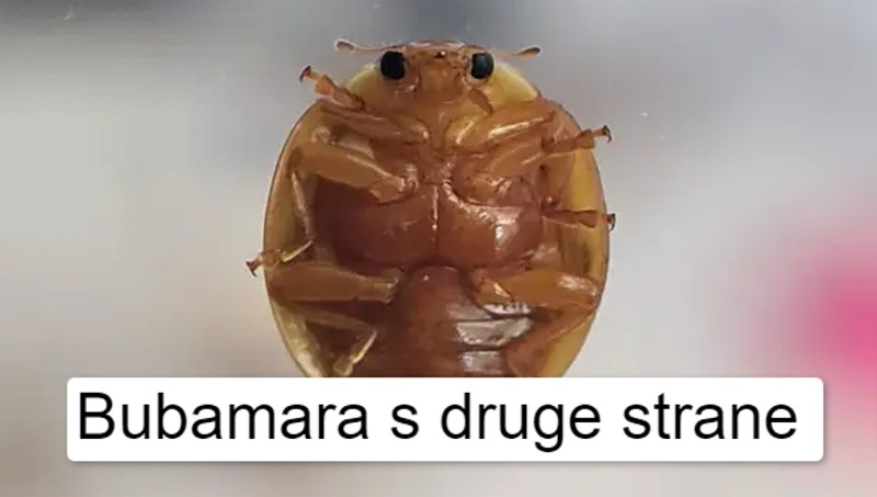 12 super zanimljivih fotki koje su nas oduševile ovaj tjedan