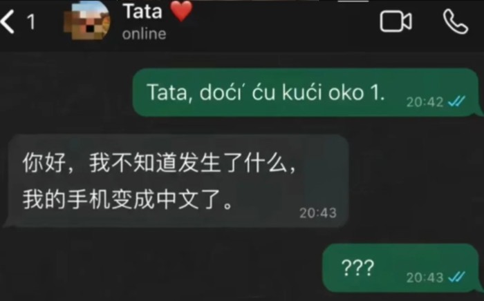 Tata mu je na poruku da stiže kući odgovorio na kineskom. Umrijet ćete od smijeha kad shvatite zašto