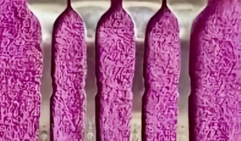 Internet luduje zbog ove fotografije: možete li shvatiti što se na njoj nalazi?