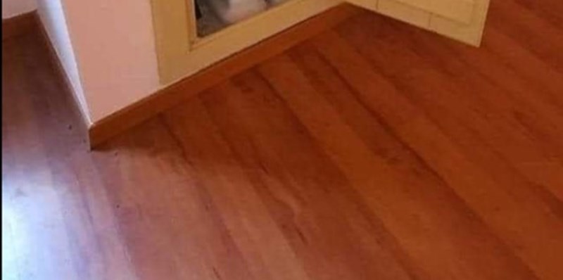 Tip iz BiH je napravio najmanji WC na svijetu, ljudi ne vjeruju da je ovo moguće