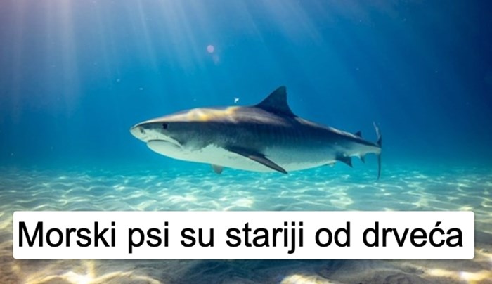 Ljudi dijele činjenice koje su čuli i ne mogu ih izbaciti iz glave. Evo 15 najzanimljivijih