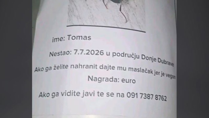 Netko po Zagrebu lijepi bizarne plakate o izgubljenom ljubimcu. Pogledajte koga traži