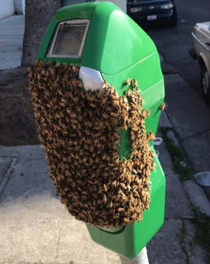 Ok, parkirat ću negdje drugo