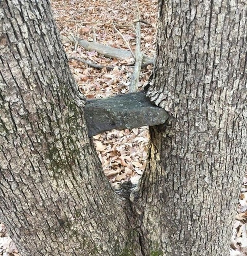 "Sestra i ja smo stavili ovaj kamen između ove dvije grane prije deset godina"