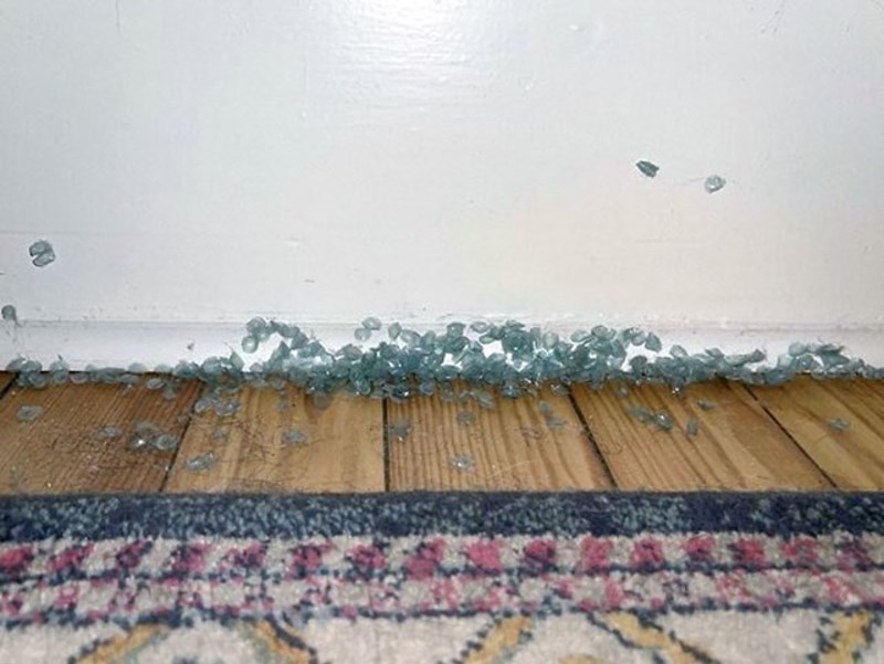 "Nedavno sam otkrio da moja cura svoje dnevne leće baca iza noćnog ormarića. Sad već ima pravu odvratnu kolekciju."