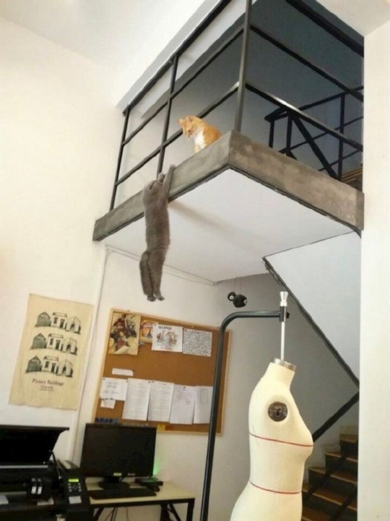 "Zbogom Mufasa, sad sam ja kralj!"