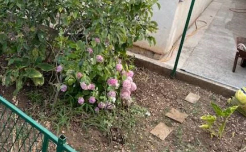 Fotka kuće iz Hrvatske postala je hit, ljudi ne vjeruju da je vlasnik ovo napravio