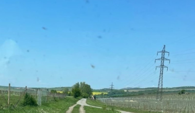 Fotka ceste iz Češke apsolutni je hit, trebat će vam sekunda da shvatite zašto