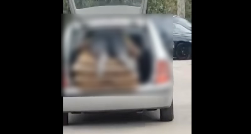 Navikli smo na svakakve bizarne scene na našim ulicama, ali ovo je definitivno pobjednik