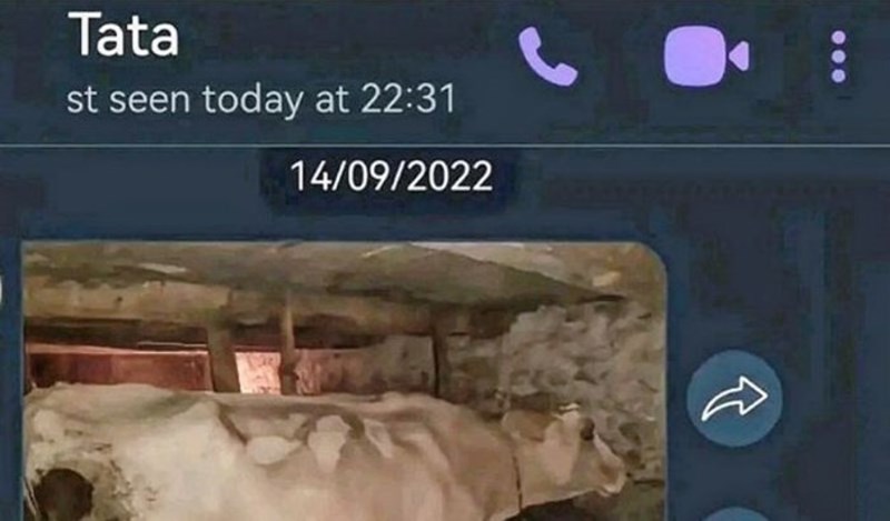 Tata mu je poslao sliku krave da ju stavi na oglasnik, zbog poruke ispod smije se čitav Balkan