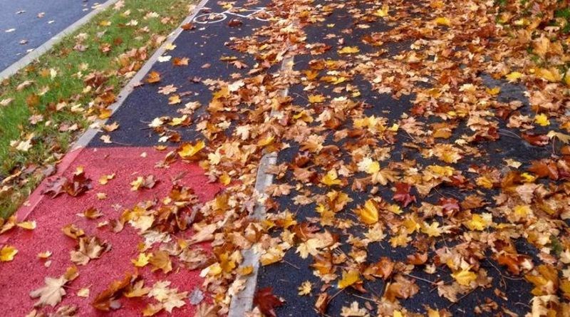 Fotka biciklističke staze iz Hrvatske je totalni hit, odmah će vam biti jasno zašto!