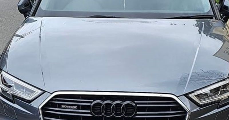 Zbog registracije su svi uvjereni da je vlasnik ovog Audija žena, pogledajte što piše