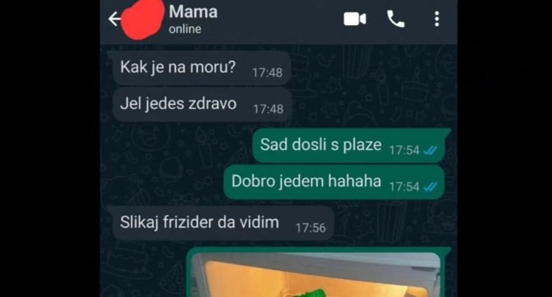 Mama ga je pitala jede li zdravo dok je na moru, morate vidjeti sliku frižidera koju je poslao