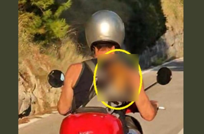 Na cesti u Dalmaciji snimljen je nevjerojatan prizor, pogledajte što je turist nosio u ruksaku