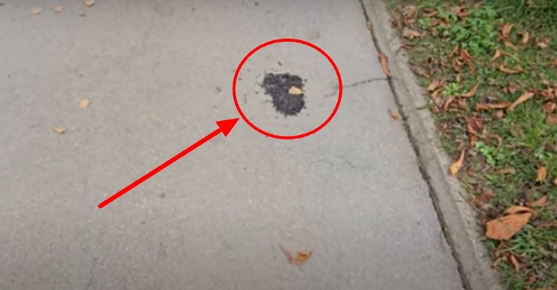 U Otočcu su na nevjerojatan način pokrpali rupe na cesti, ovo morate vidjeti da povjerujete!