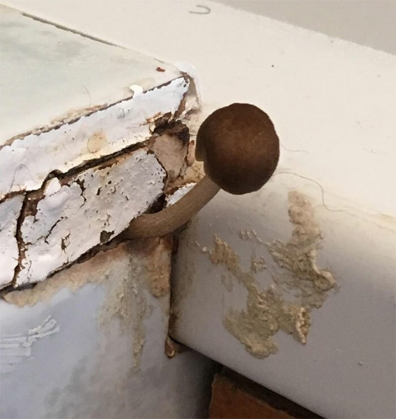 Slika iz stana koji košta 1.500 eura mjesečno