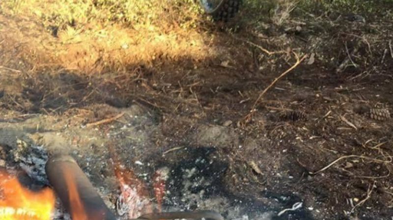 Fotka "balkanskog roštilja" je hit u svijetu, morate vidjeti kako su se majstori snašli!