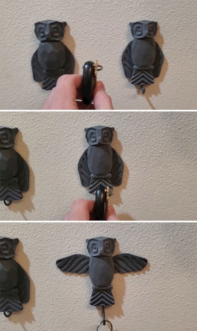 Ovo!