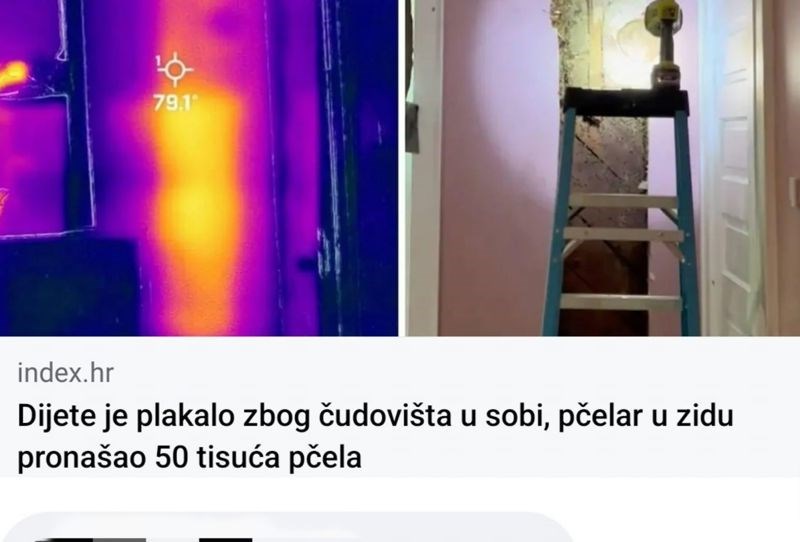 Djevojčica je u kući pronašla 50 tisuća pčela, tip u komentaru je napisao ono što su svi promislili