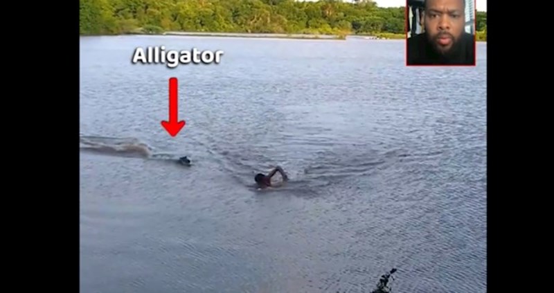 Tip je pokušao plivati brže od aligatora, ovu snimku morate pogledati
