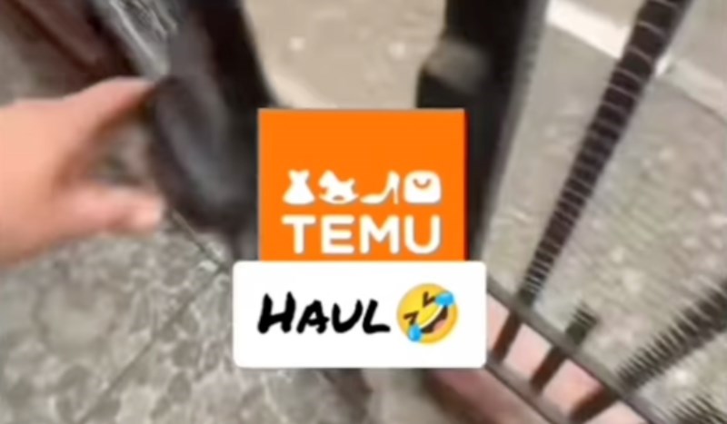 Tip je naručio kantu za smeće s Temua, čitava regija mu se smije zbog onog što je dobio