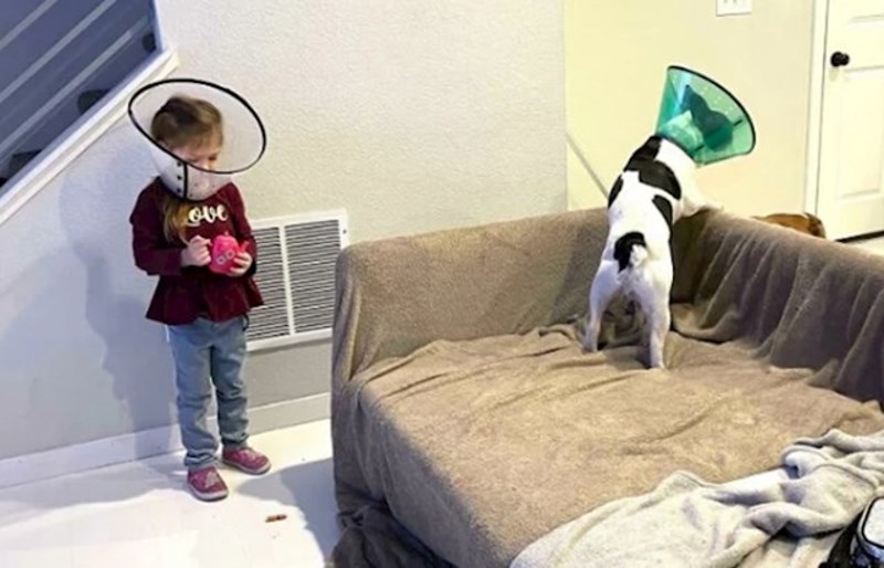 Nije dala mira roditeljima dok i ona nije dobila zaštitu