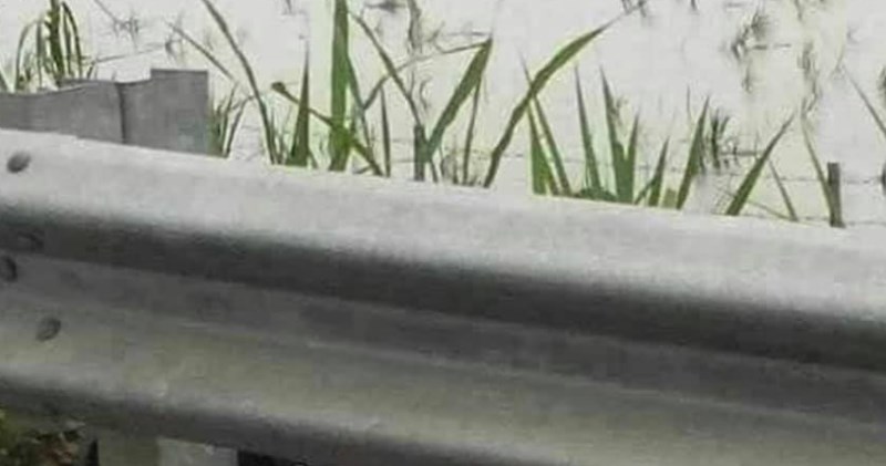 Fotka policajca iz Slovačke osvaja internet: morate vidjeti gdje se skrio i snimao vozače