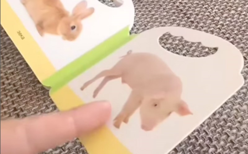 Tata je sinu išao objasniti što se stvarno nalazi u njegovoj slikovnici, video je hit na Balkanu!