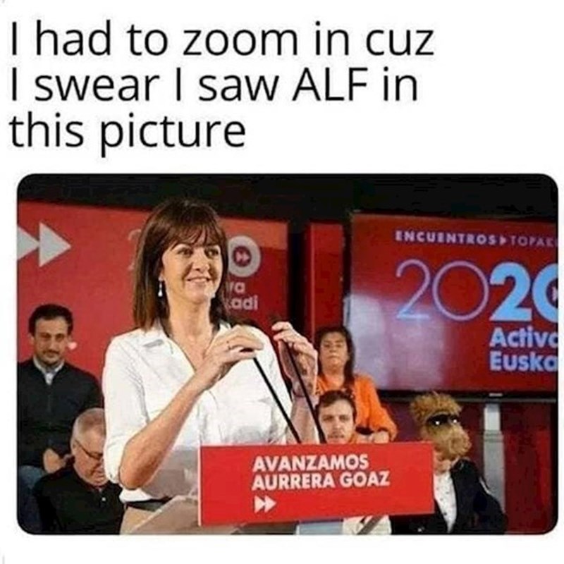 Ne, na fotki nema Alfa