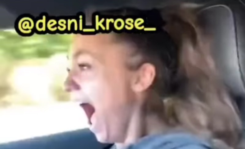 Djevojka je zaspala na suvozačevom sjedalu, ono što je vidjela kad se probudila zapamtit će zauvijek