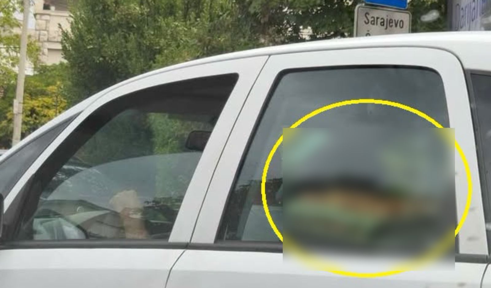 "Najmirnije ruke Balkana": Morate vidjeti što je vozač iz Sarajeva prevozio na zadnjem sjedalu
