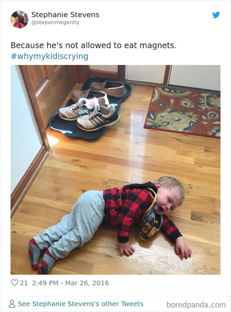 "Zato što mu nismo dali da jede magnete."