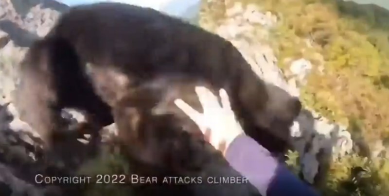 Tip je planinario i naletio na agresivnog medvjeda, snimka skuplja desetke milijuna pregleda