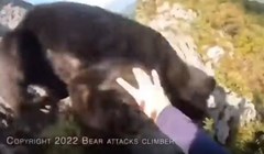 Tip je planinario i naletio na agresivnog medvjeda, snimka skuplja desetke milijuna pregleda