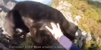 Tip je planinario i naletio na agresivnog medvjeda, snimka skuplja desetke milijuna pregleda
