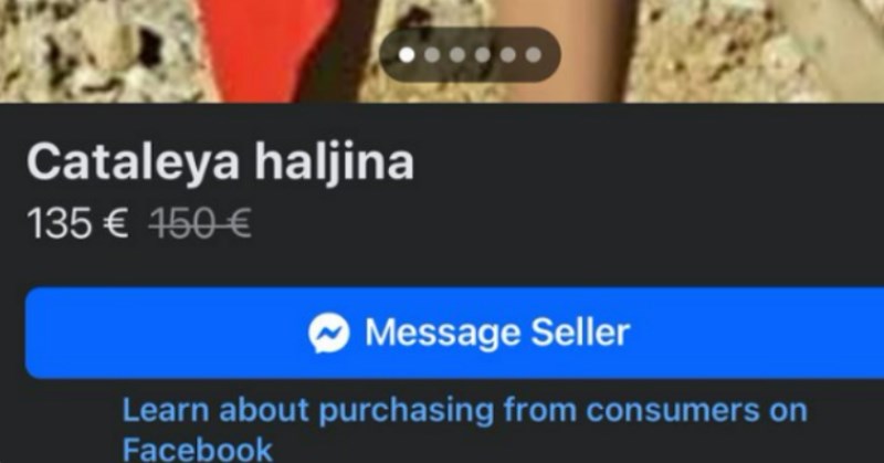 Djevojka je objavila oglas da prodaje haljinu za 150 eura, fotka nje u haljini je srušila internet