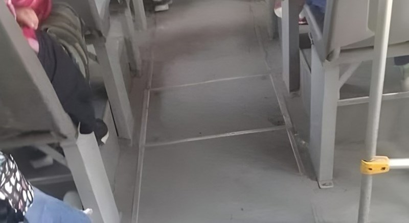 Fotka autobusa iz BiH skuplja tisuće lajkova, odmah će vam biti jasno zašto